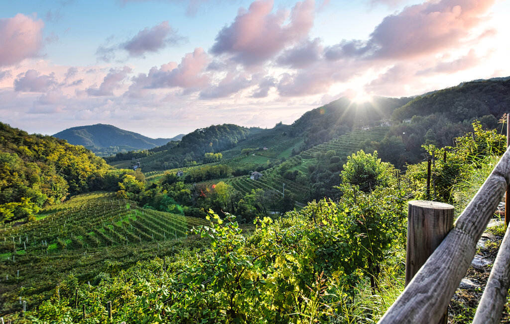 Ferienhaeuser - Valdobbiadene , Italien - IVC009 13