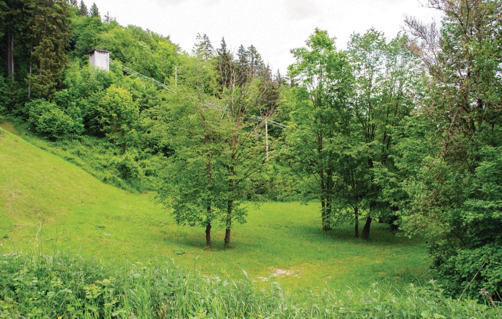 Bild 6 Bild 6