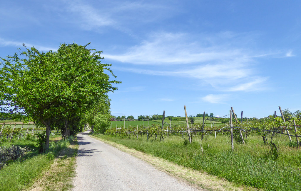 Ferienhaus - Marano di Valpolicella , Italien - IVG540 14
