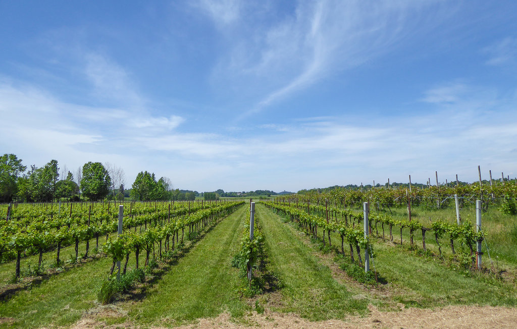 Ferienhaus - Marano di Valpolicella , Italien - IVG540 15