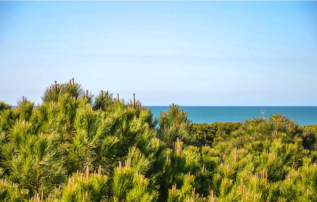 Ferienwohnung - Bibione , Italien - IVK747 6