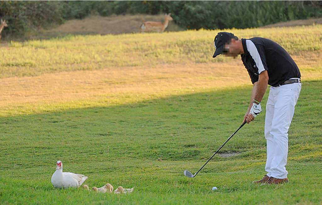 Feriehuse - Albarella , Italien - IVK427 37