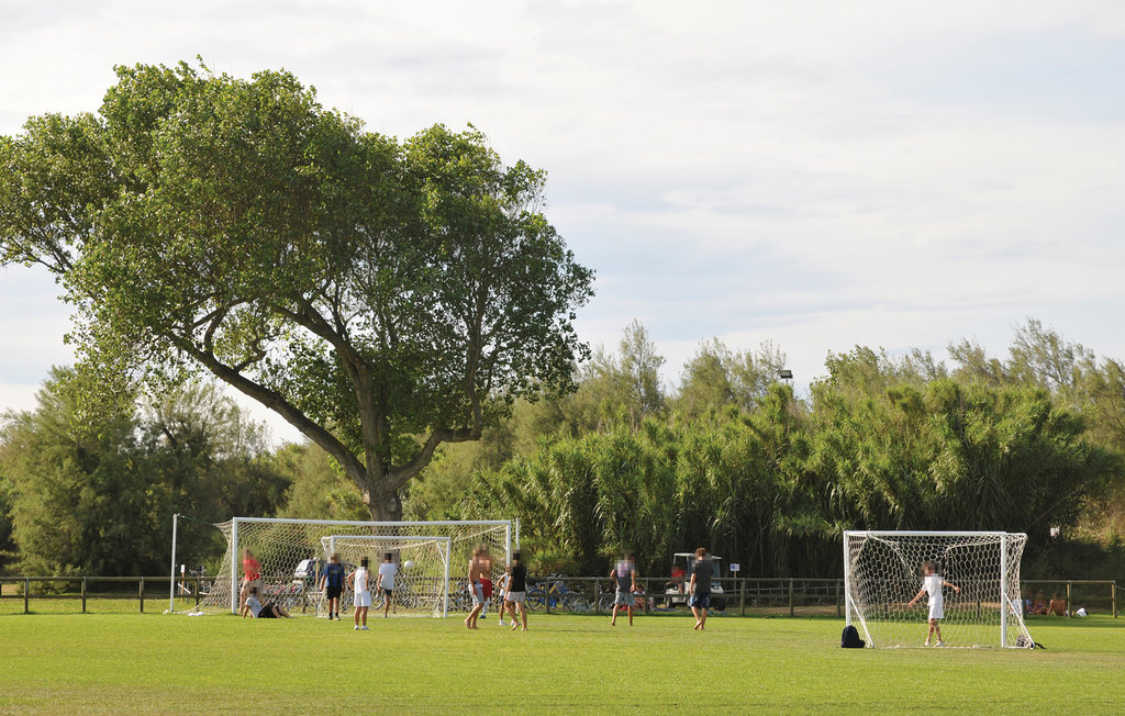 Ferienwohnung - Isola Albarella , Italien - IVK741 15