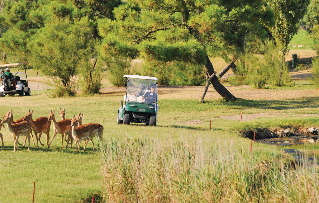 Ferienhaus - Albarella , Italien - IVK428 52