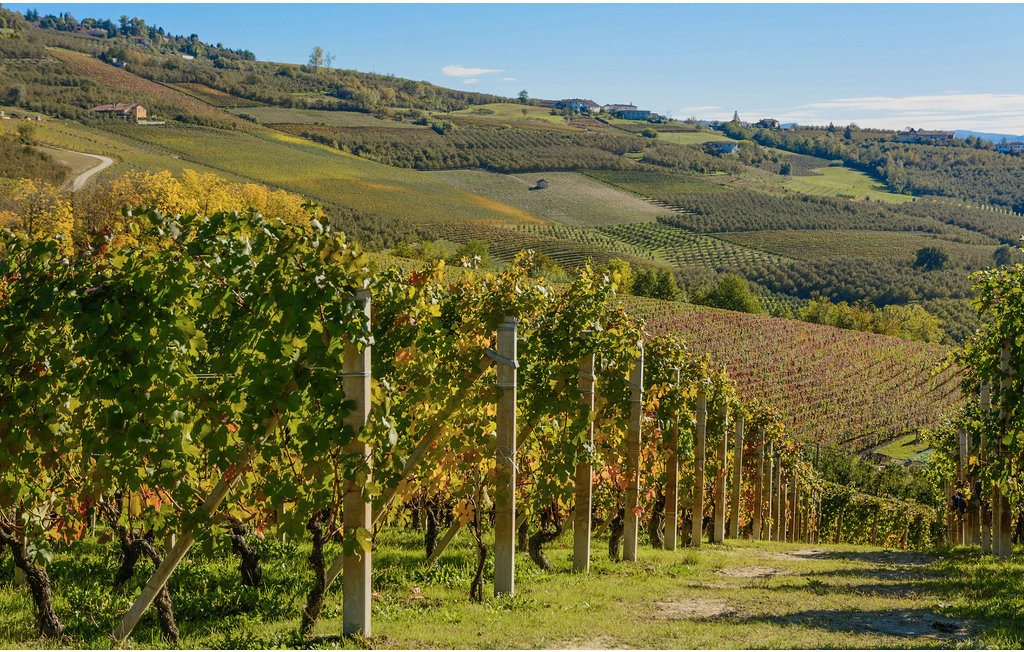 Ferienhaus - Luino - Lago Maggiore , Italien - IVM151 13
