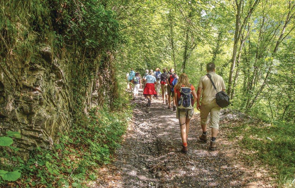 Ferienwohnung - Luino - Lago Maggiore , Italien - IVM202 16