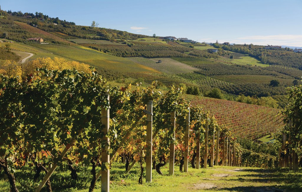 Lejlighed - Lago Maggiore , Italien - IVM149 19