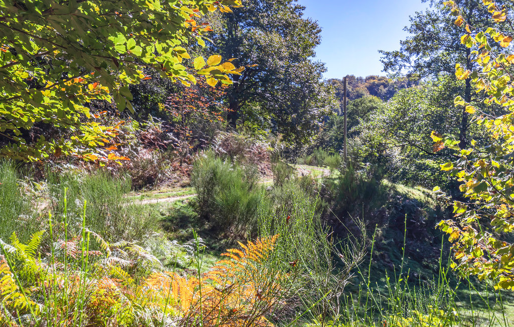 Feriehus - Lago d'Orta Arto´ , Italia - IVO110 26