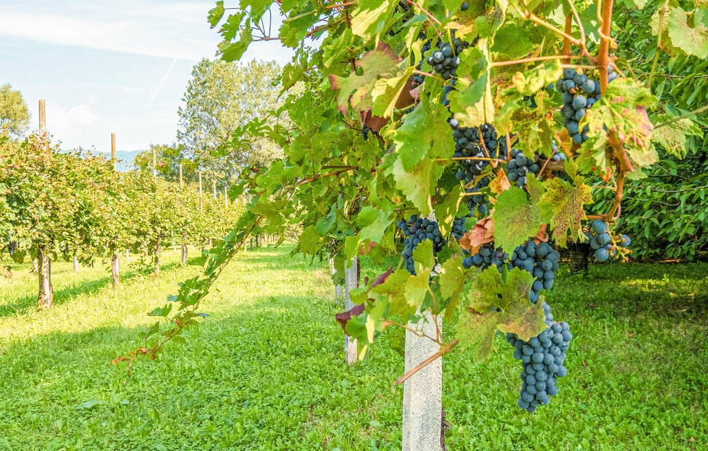 Ferieleilighet - Soriso - Lago d´Orta , Italia - IVO123 21