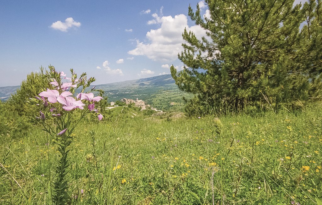 Feriehuse - Ripa Teatina , Italien - IZC132 36
