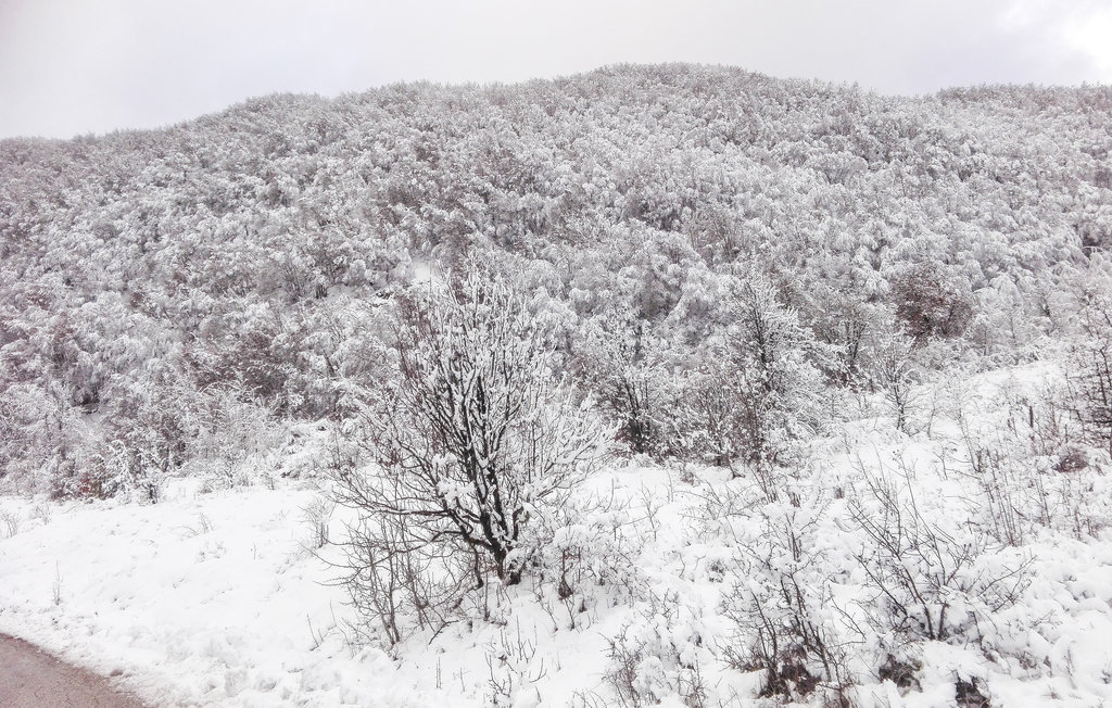 Ferienwohnung - Tagliacozzo , Italien - IZC145 14