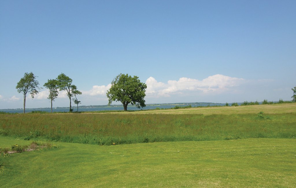 Ferienhaus - Kongsnæs , Dänemark - K05560 15