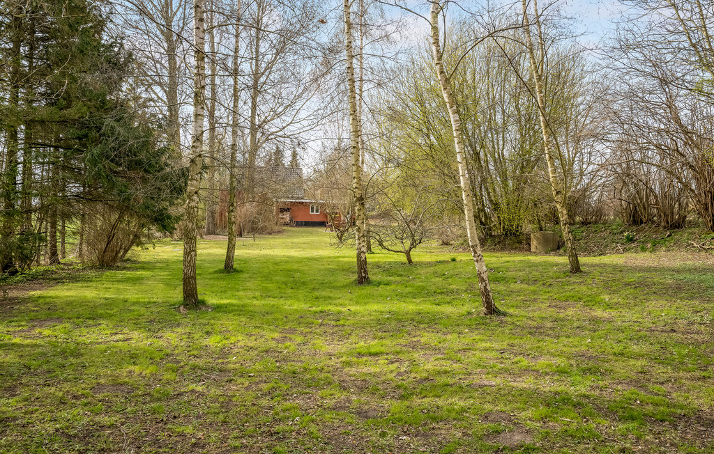 Feriehuse - Hesnæs , Danmark - K05003 11