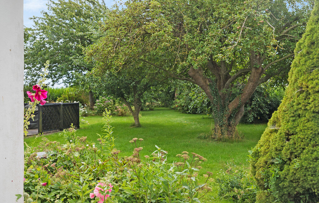 Feriehuse - Hesnæs , Danmark - K05006 13