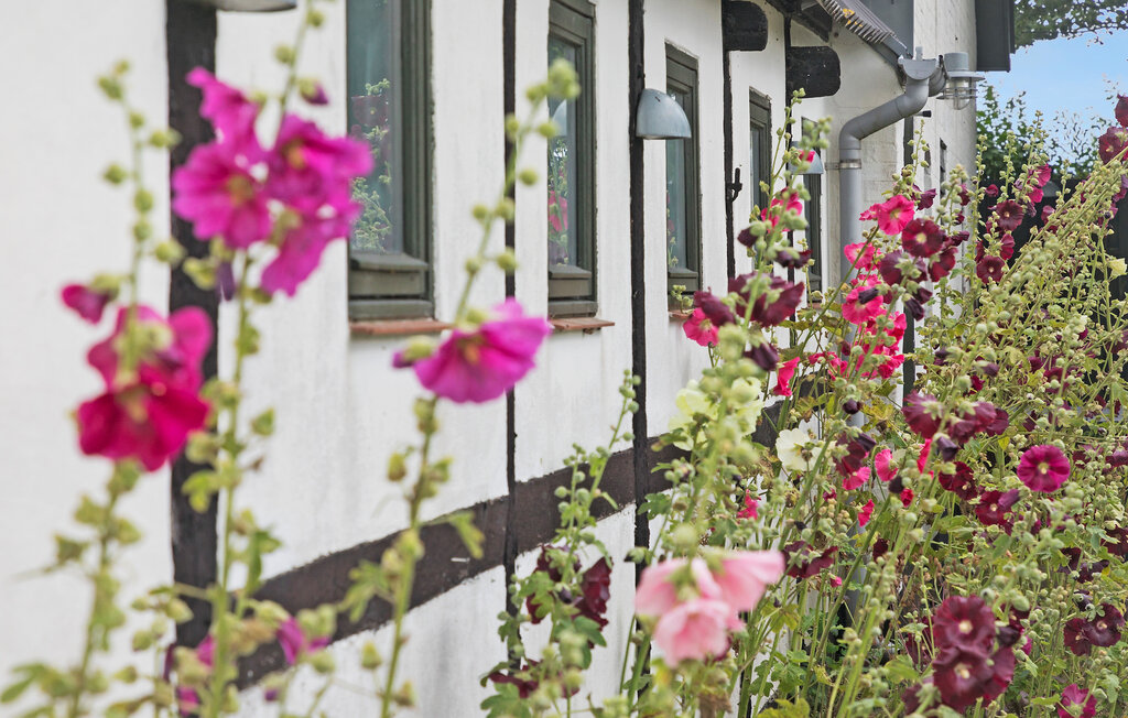 Feriehuse - Hesnæs , Danmark - K05006 14