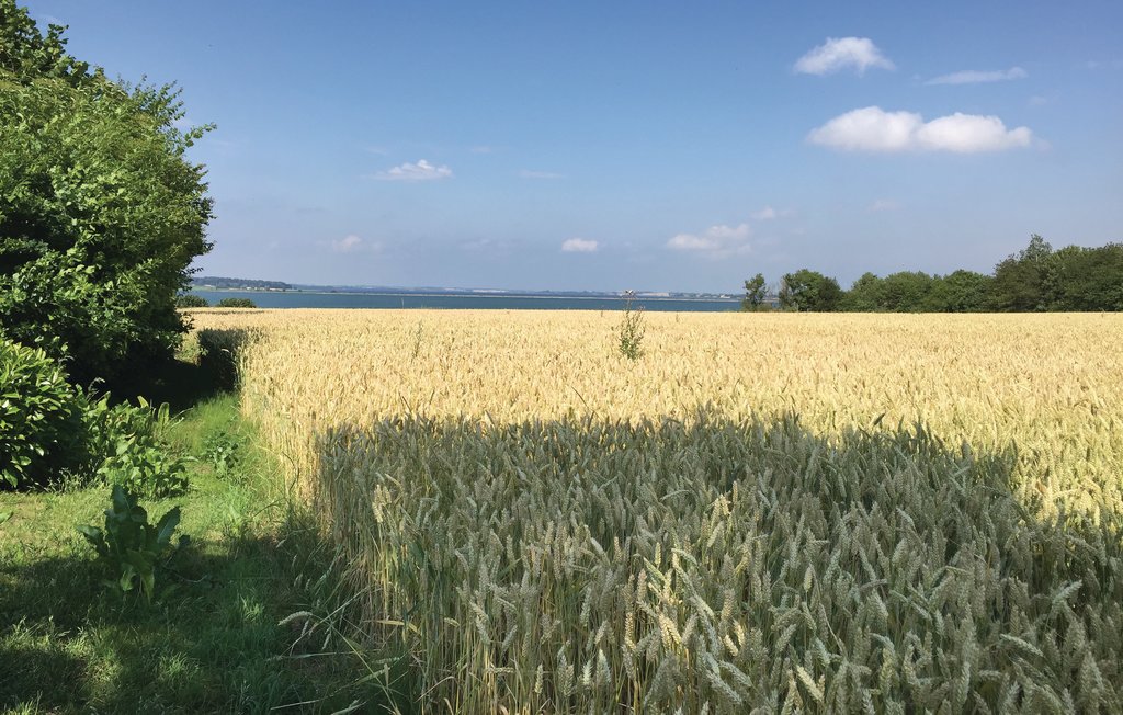 Bild 8 Bild 8