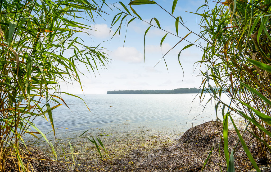Ferienhaus - Bandholm , Dänemark - K10819 11