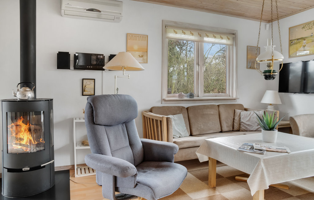 Ferienhaus - Hummingen , Dänemark - K10066 3