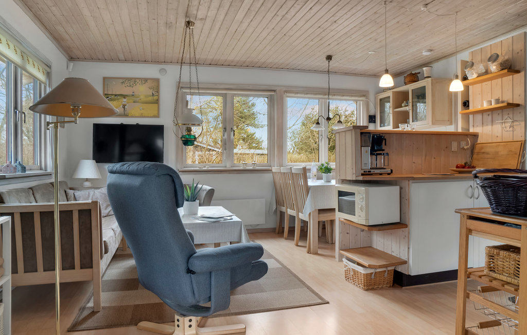 Ferienhaus - Hummingen , Dänemark - K10066 7