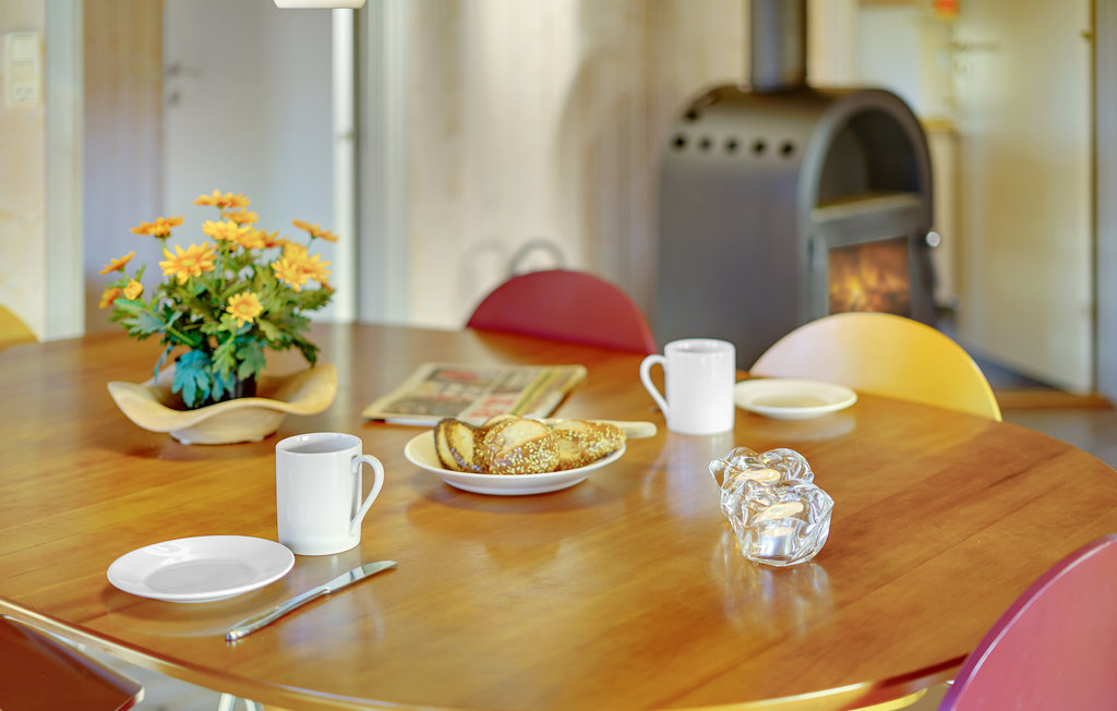 Feriehuse - Hummingen , Danmark - K10230 18