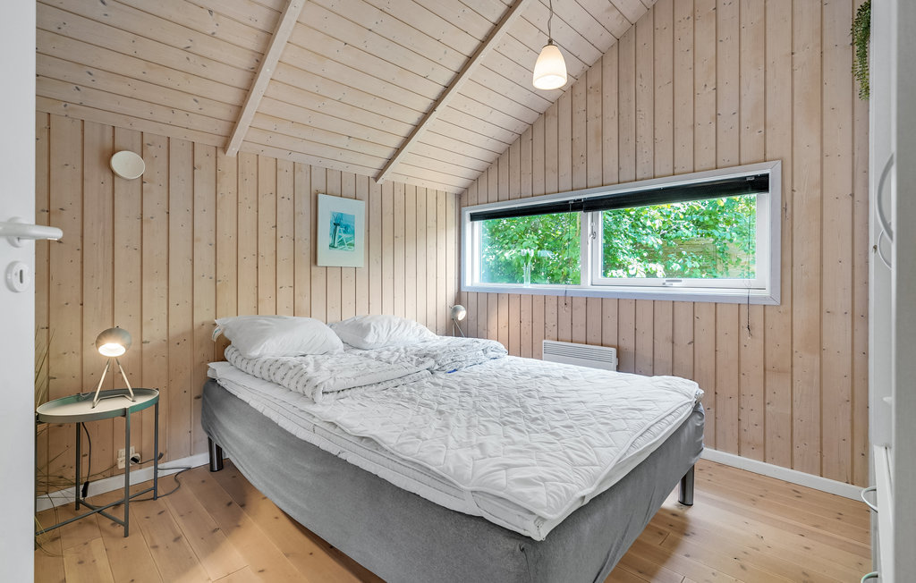 Feriehuse - Hummingen , Danmark - K10330 20