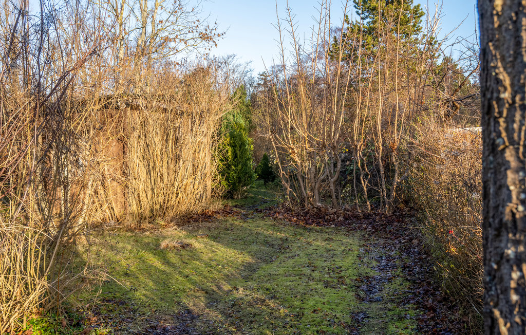 Ferienhaus - Askø , Dänemark - K10052 17