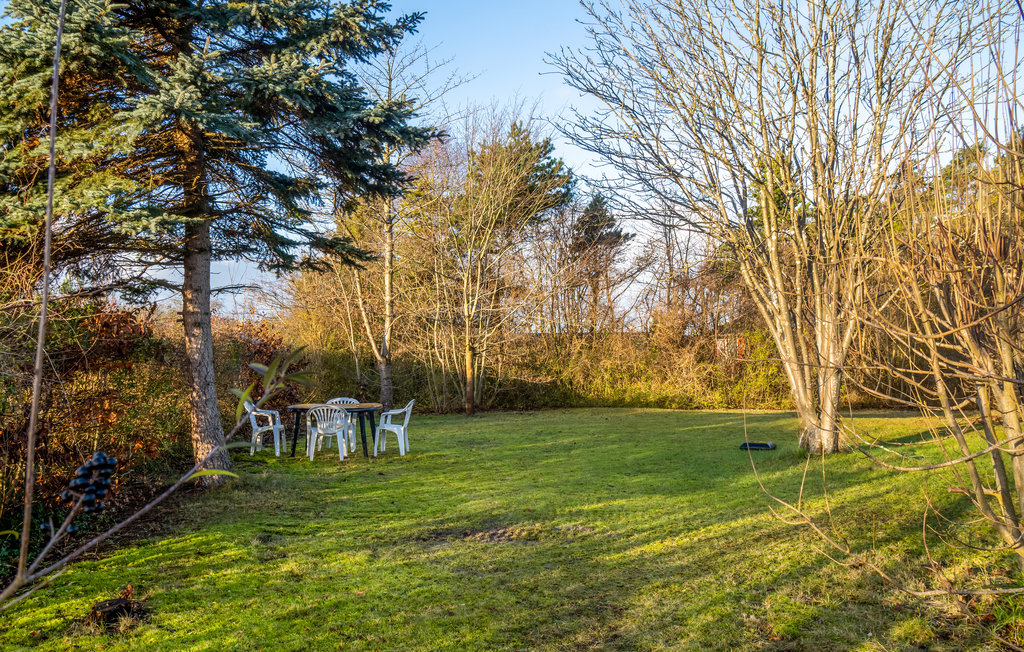 Ferienhaus - Askø , Dänemark - K10052 14
