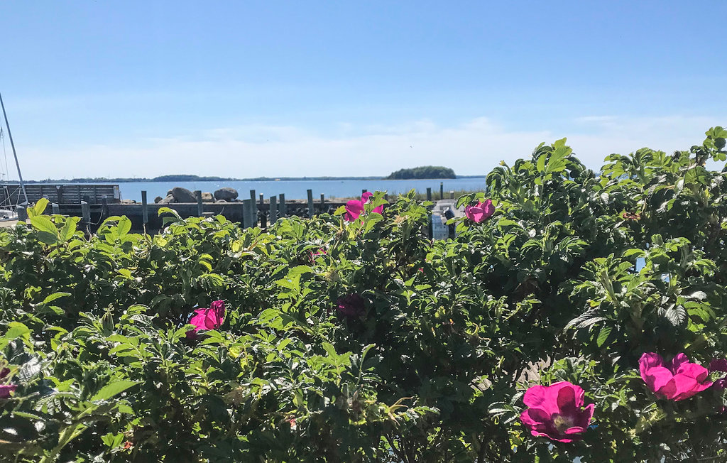 Feriehuse - Askø , Danmark - K10609 13