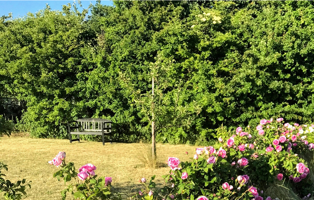 Feriehuse - Askø , Danmark - K10609 11