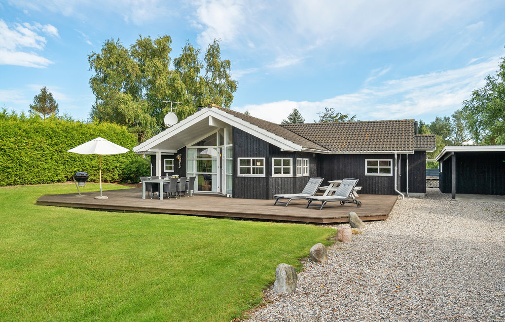 Ferienhaus - Hummingen , Dänemark - K10050 10