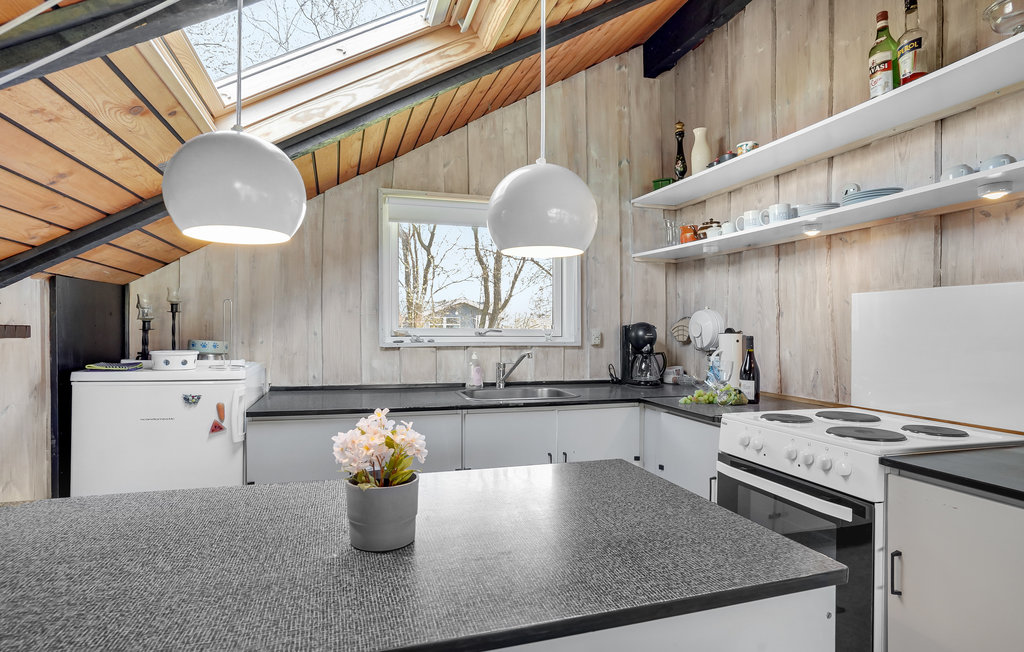 Feriehuse - Hummingen , Danmark - K10733 15