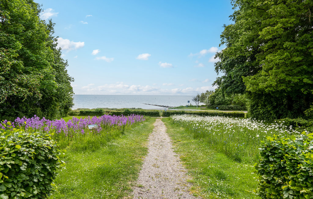 Ferienwohnung - Nysted , Dänemark - K10041 18