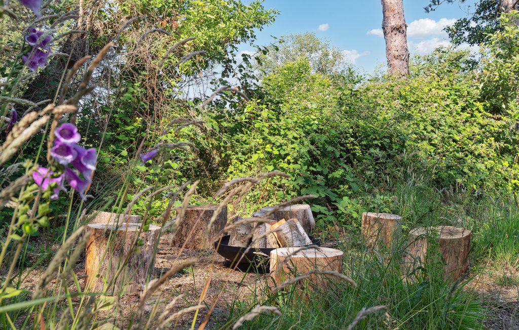 Feriehuse - Bredfjed , Danmark - K10545 8