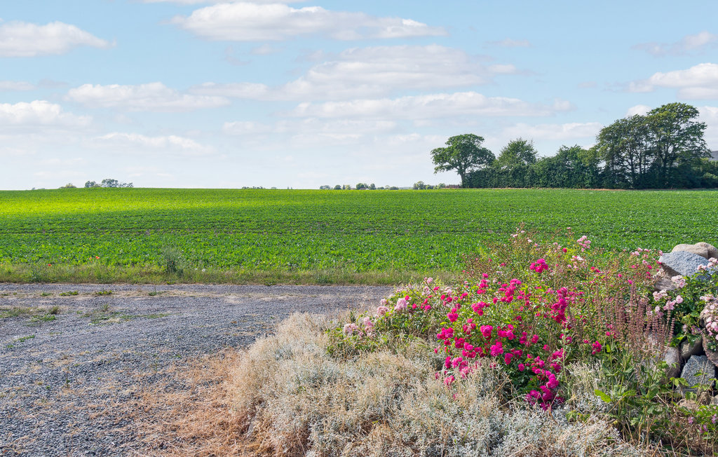 Ferienhaus - Blans , Dänemark - K10391 12