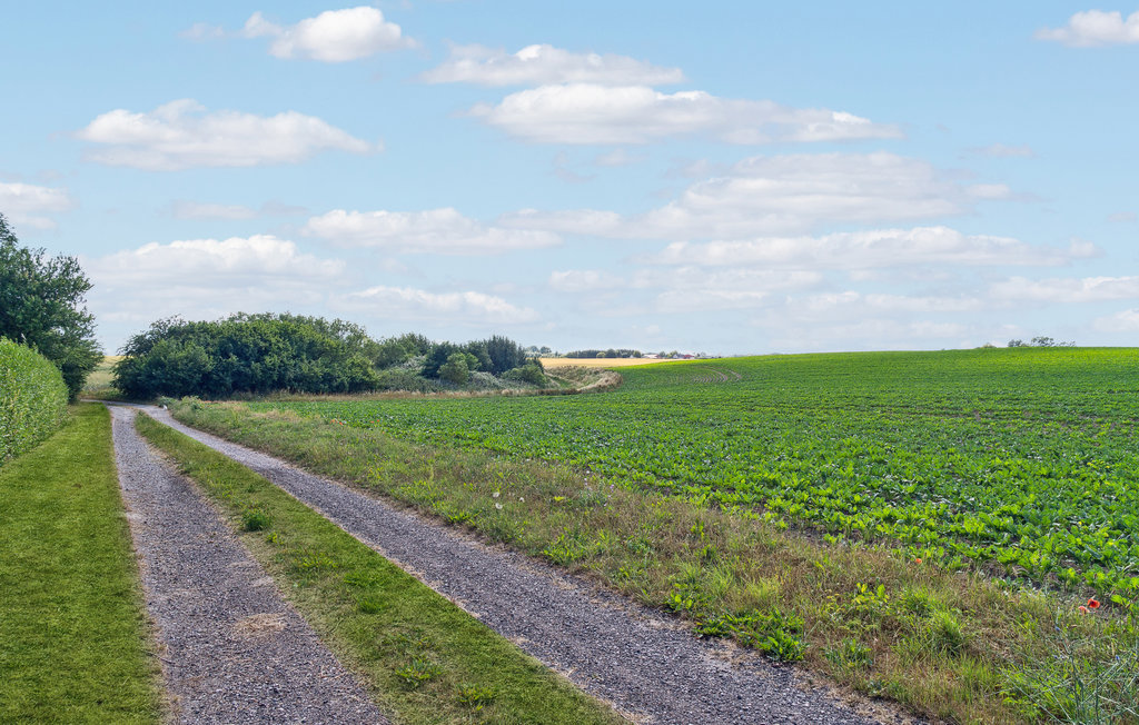 Ferienhaus - Blans , Dänemark - K10391 14