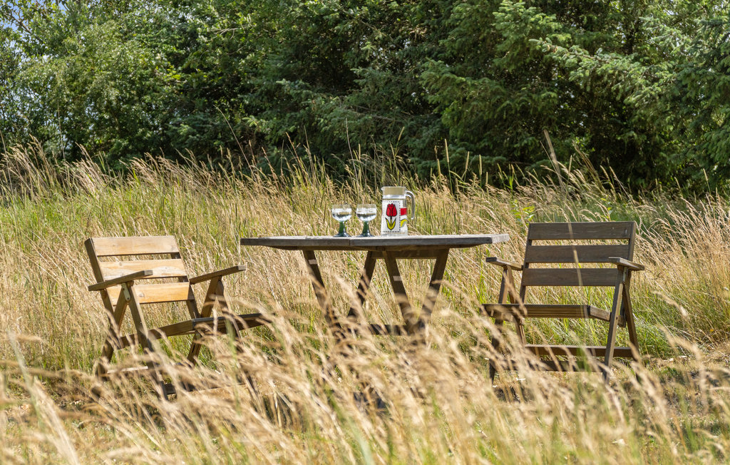 Ferienhaus - Bredfjed , Dänemark - K10055 17