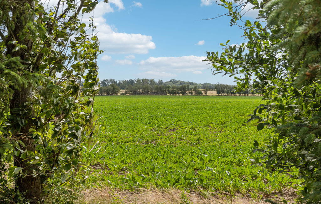 Ferienhaus - Bredfjed , Dänemark - K10055 20