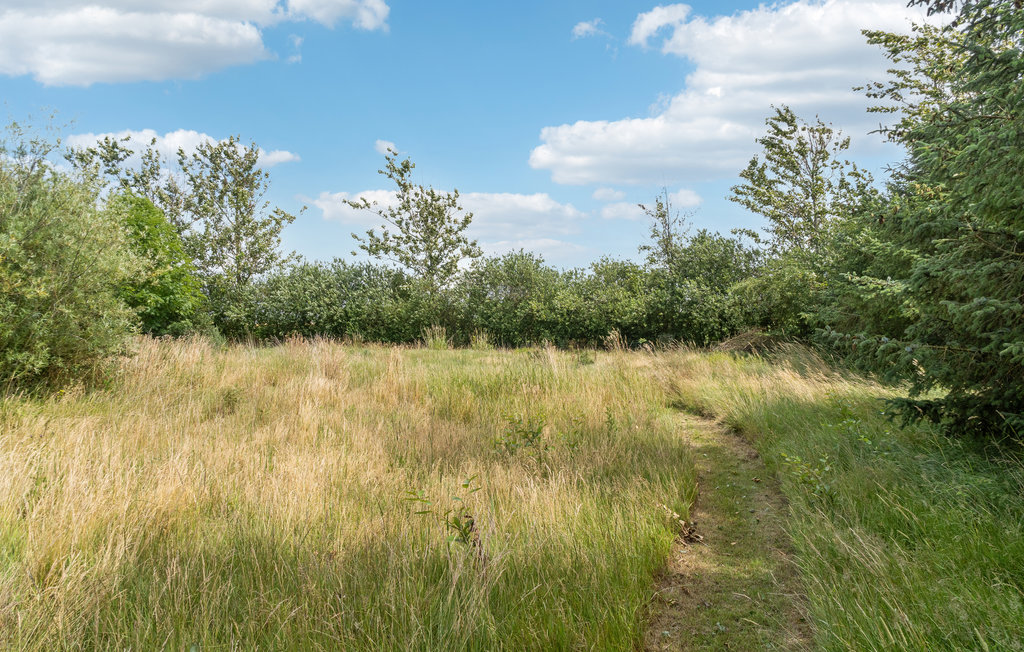 Ferienhaus - Bredfjed , Dänemark - K10055 21