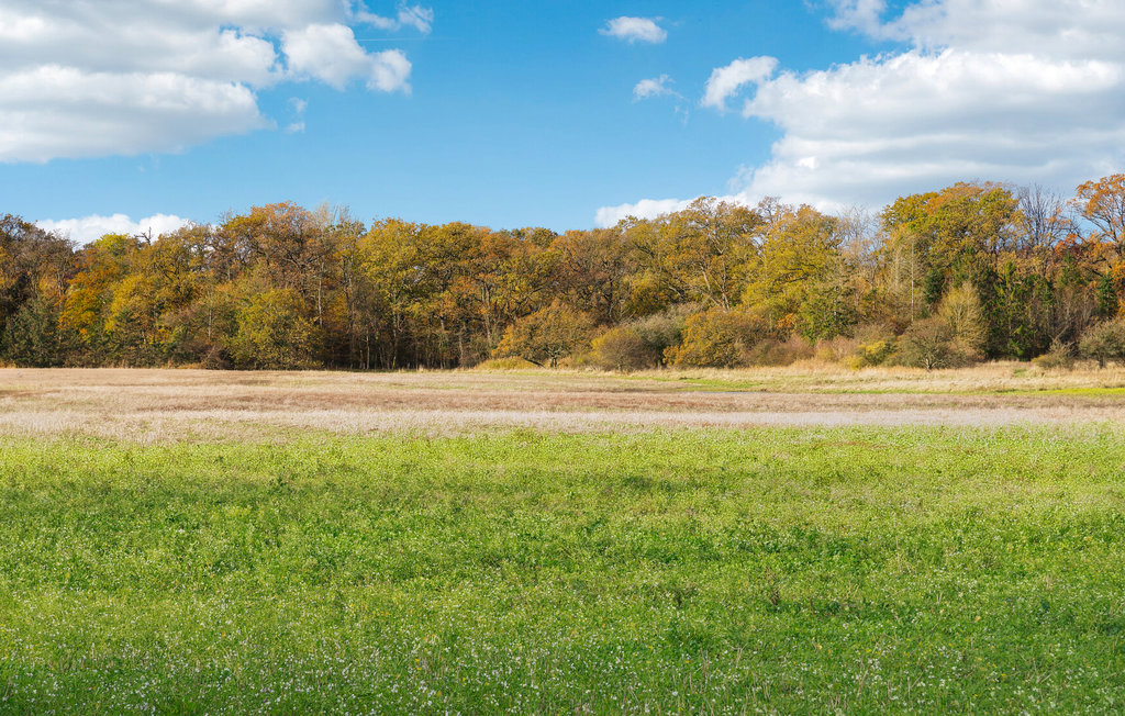 Ferienhaus - Kragenæs , Dänemark - K10059 15
