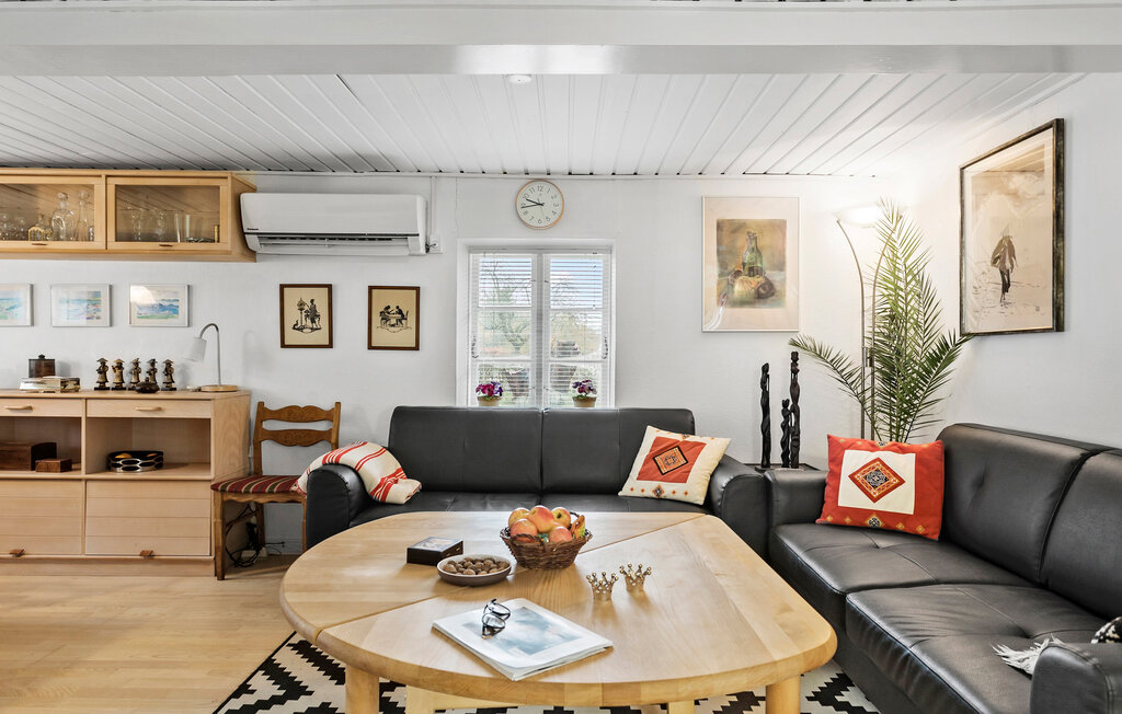 Kuća-za-odmor - Øster Ulslev , Danska - K10151 4