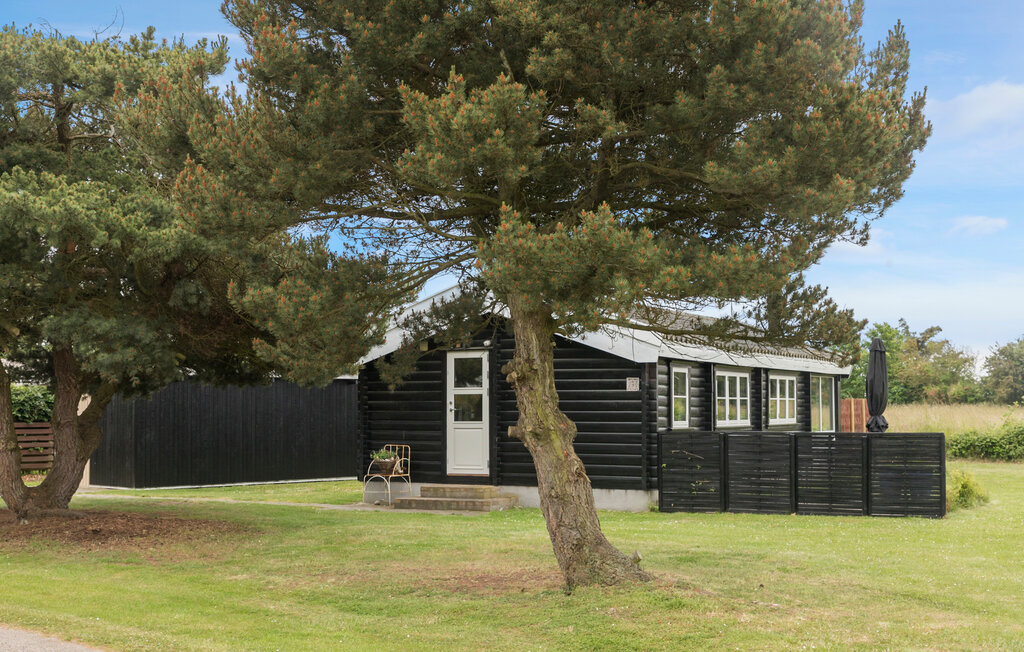 Ferienhaeuser - Næsby , Dänemark - K10329 9