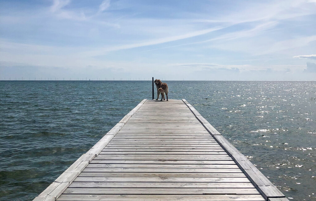 Feriehuse - Nysted , Danmark - K10539 25