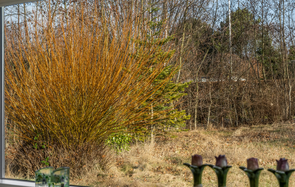 Ferienhaus - Marielyst , Dänemark - K12110 21