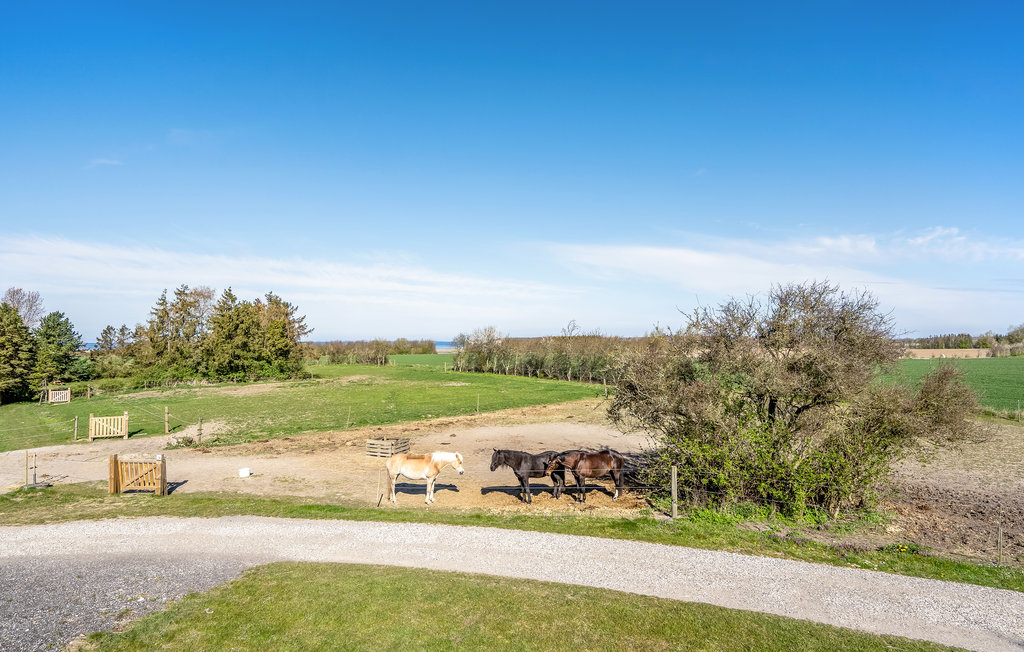 Ferienwohnung - Vester Kippinge , Dänemark - K12017 12