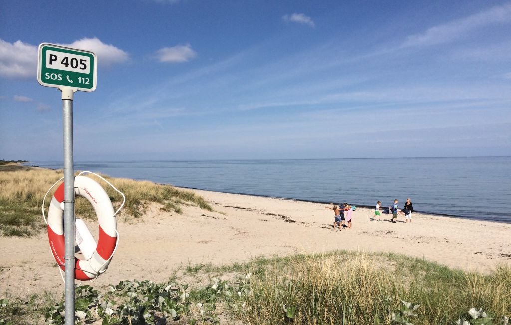 Ferienhaus - Marielyst , Dänemark - K13255 30