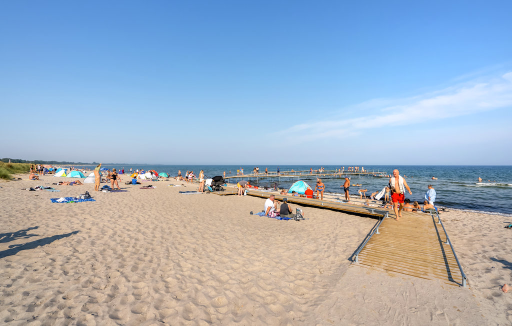 Ferienhaus - Marielyst , Dänemark - K14103 18