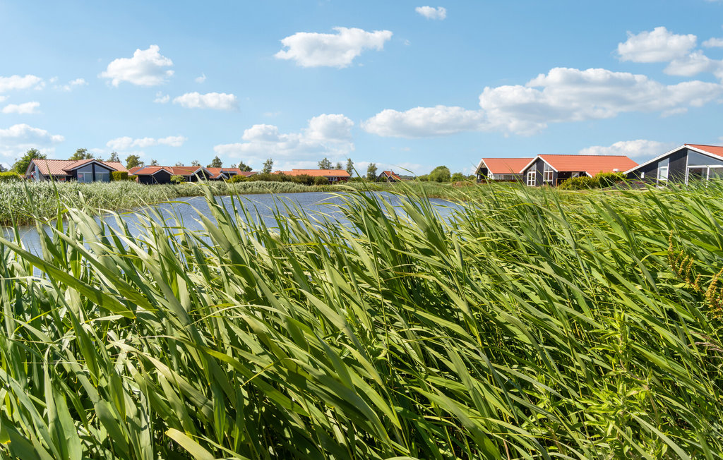 Ferienhaus - Marielyst , Dänemark - K14240 12