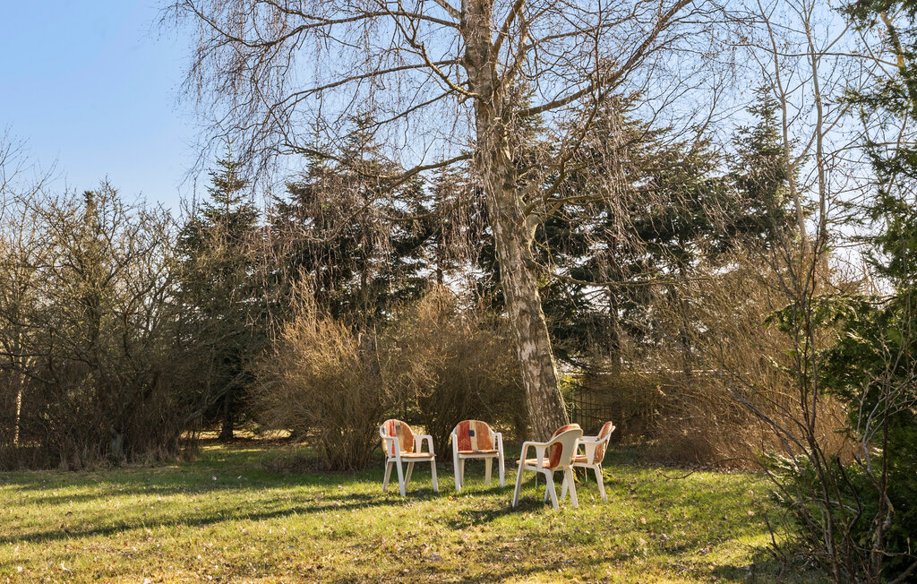 Feriehuse - Marielyst , Danmark - K15772 8