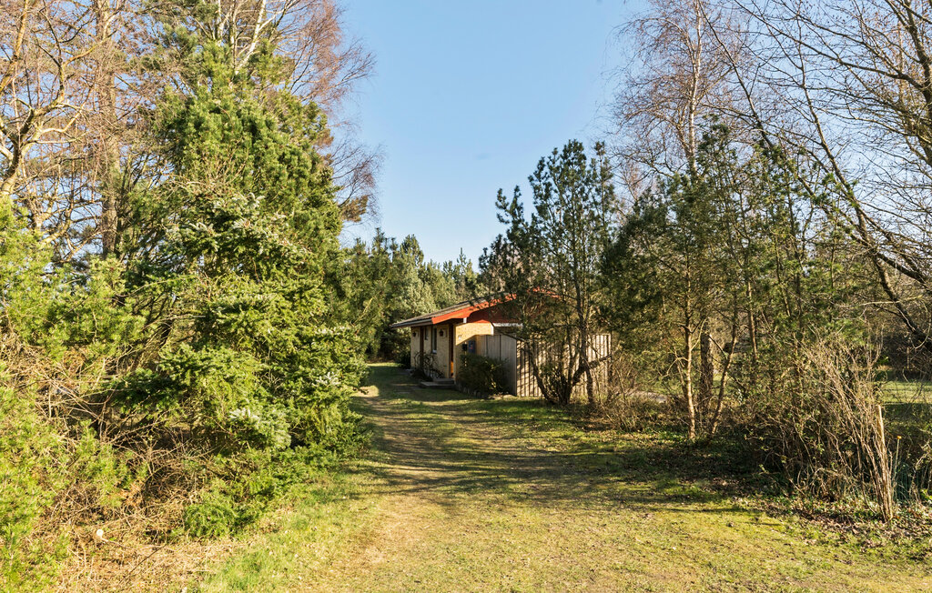 Feriehuse - Marielyst , Danmark - K15772 9