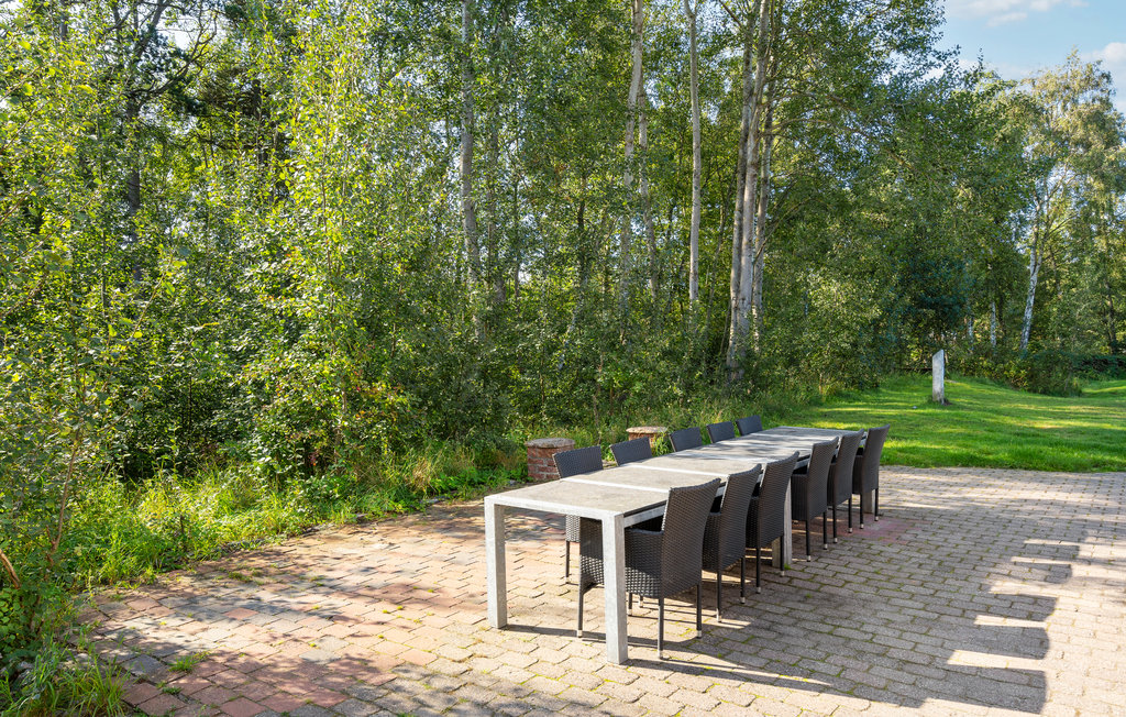 Ferienhaus - Marielyst , Dänemark - K16200 18